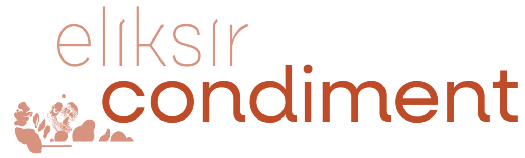 Bannière Logo Eliksir condiment