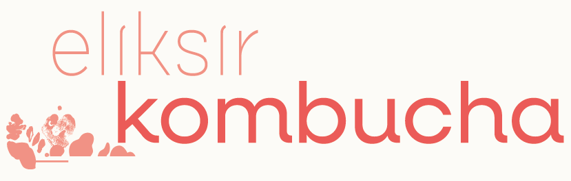 Bannière logo eliksir kombucha